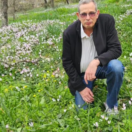אלי, 71 Хайфа, Израиль