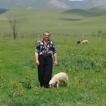Дахир, 61 