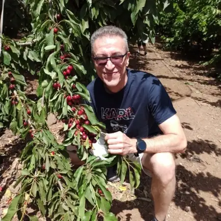 Michael, 55Лод, Израиль 