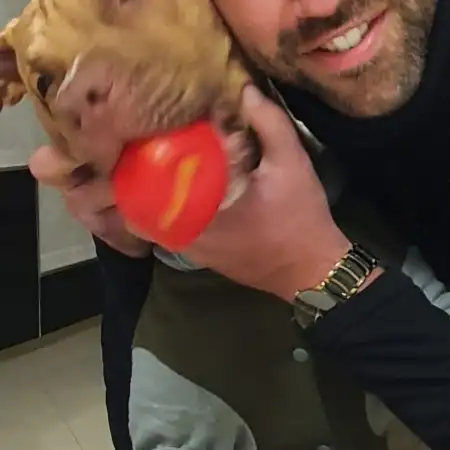 Tomer, 35Иерусалим, Израиль 