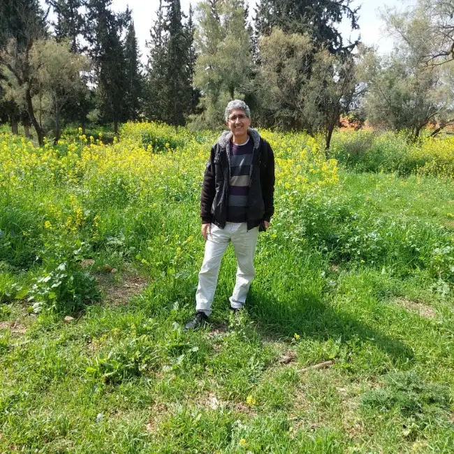 עופר
